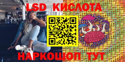 Альфа ПВП Донской