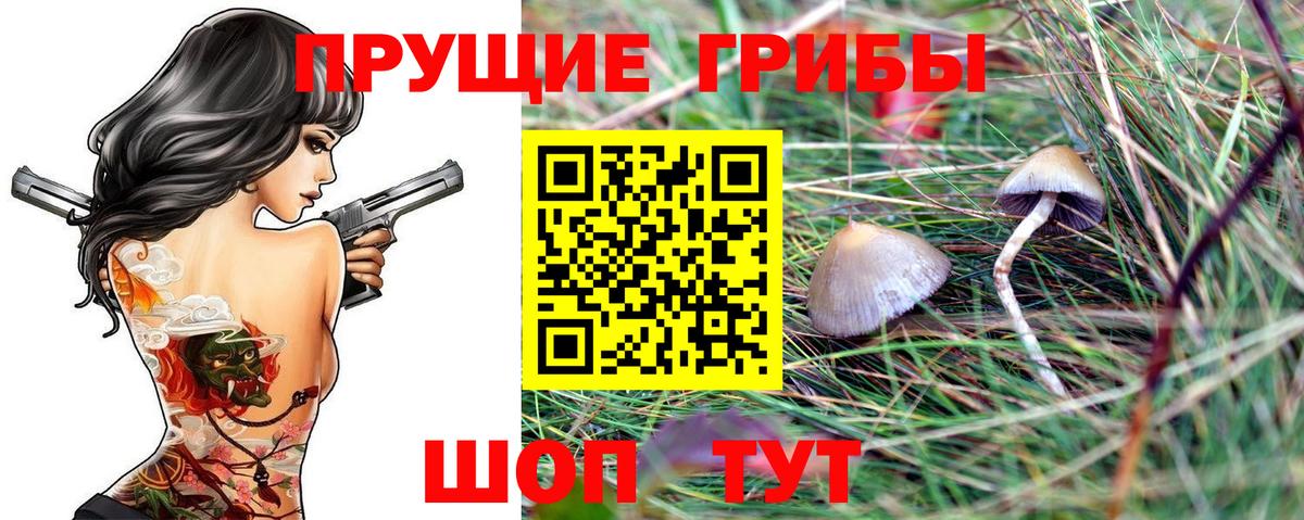 Галлюциногенные грибы Magic Shrooms Моздок