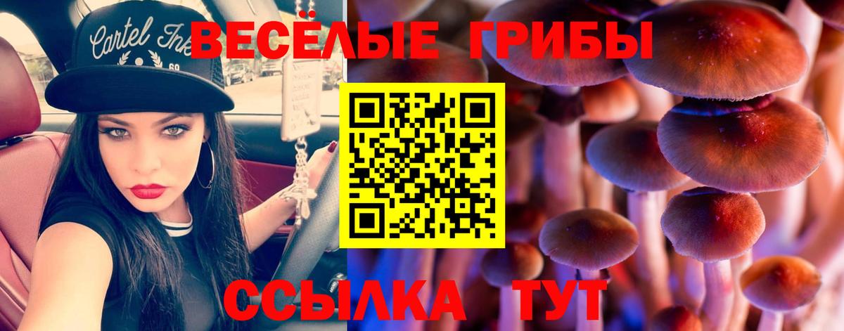 Псилоцибиновые грибы Psilocybe  Псилоцибиновые грибы Psilocybe  Вход с VPN  Моздок 